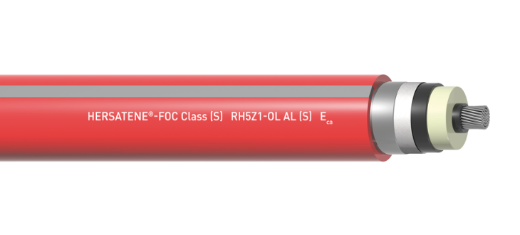 Hersatene-Foc Class (S) | RH5Z1-OL AL (S) | Eca