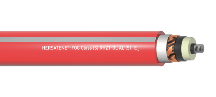 Hersatene-Foc Class (S) | RHZ1-OL AL (S) | Eca